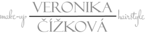 vizazistka podebrady logo